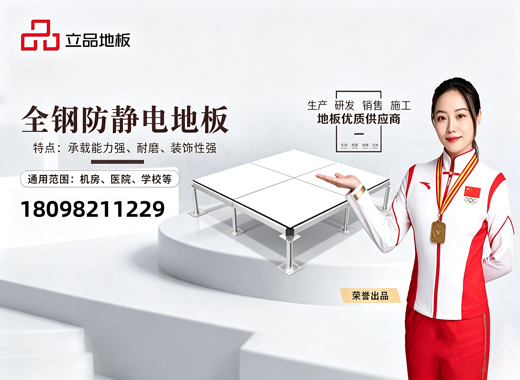 广东立品地板潮州线上分站